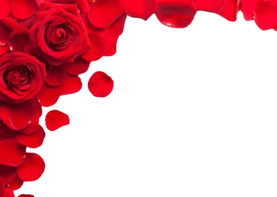 image-top-left
