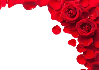 image-top-right